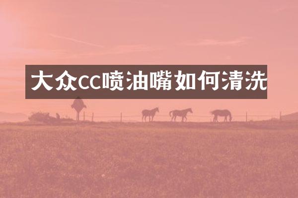 大众cc喷油嘴如何清洗