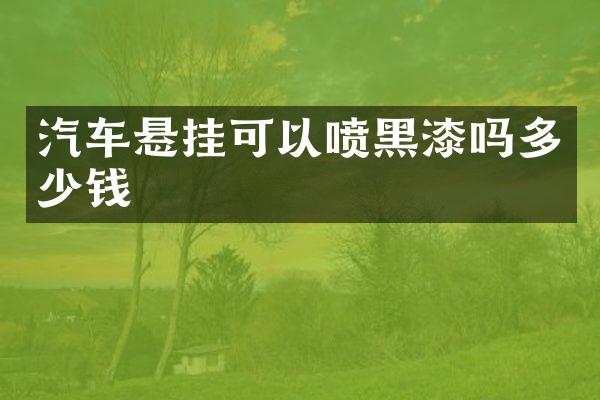 汽车悬挂可以喷黑漆吗多少钱