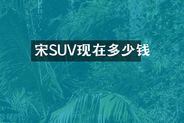 宋SUV现在多少钱