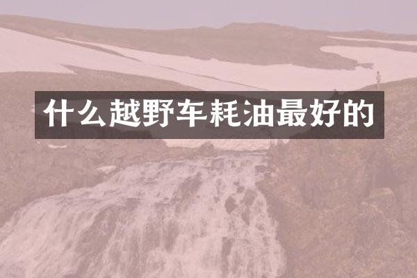 什么越野车耗油最好的