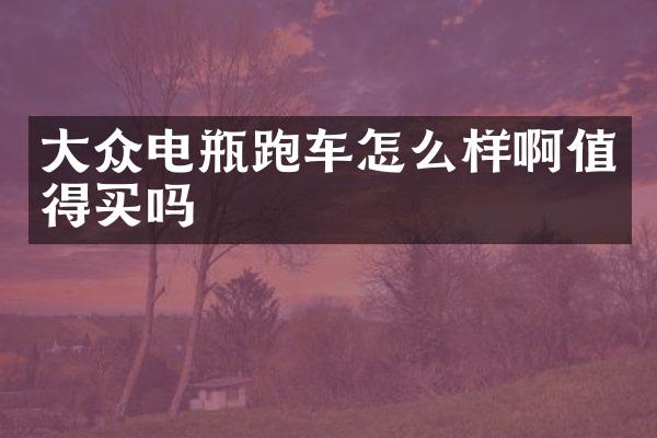 大众电瓶跑车怎么样啊值得买吗