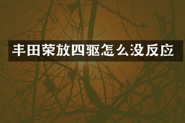 丰田荣放四驱怎么没反应