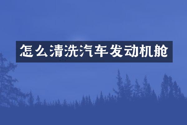 怎么清洗汽车发动机舱