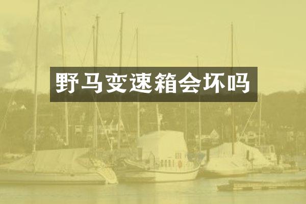 野马变速箱会坏吗