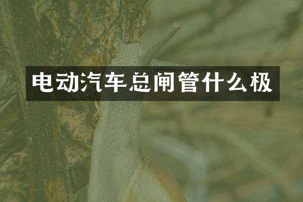 电动汽车总闸管什么极