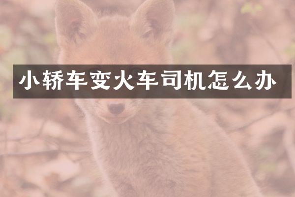小轿车变火车司机怎么办