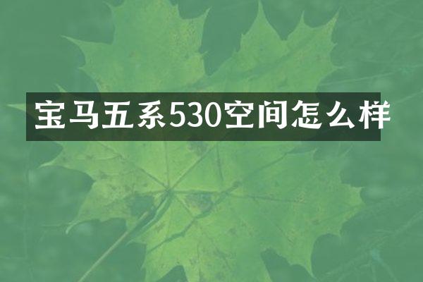 宝马五系530空间怎么样