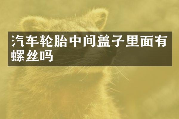 汽车轮胎中间盖子里面有螺丝吗