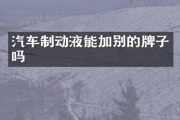 汽车制动液能加别的牌子吗