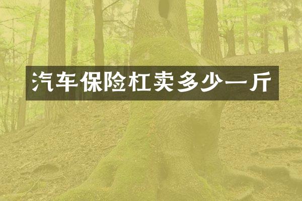 汽车保险杠卖多少一斤