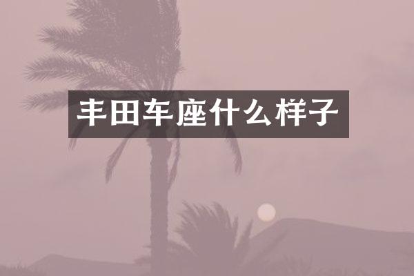 丰田车座什么样子