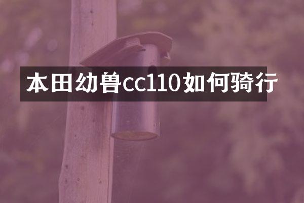 本田幼兽cc110如何骑行