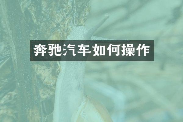 奔驰汽车如作