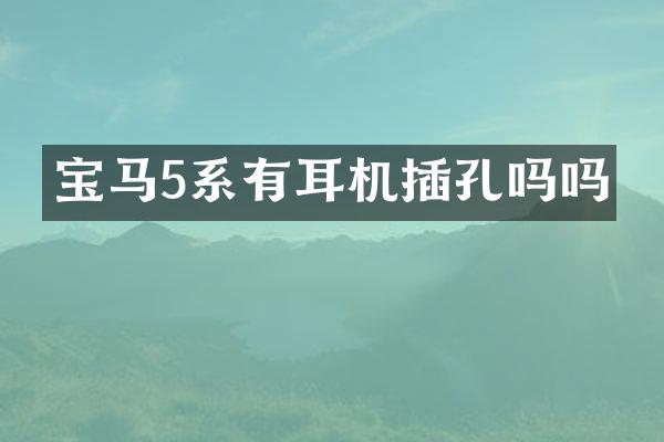 宝马5系有耳机插孔吗吗