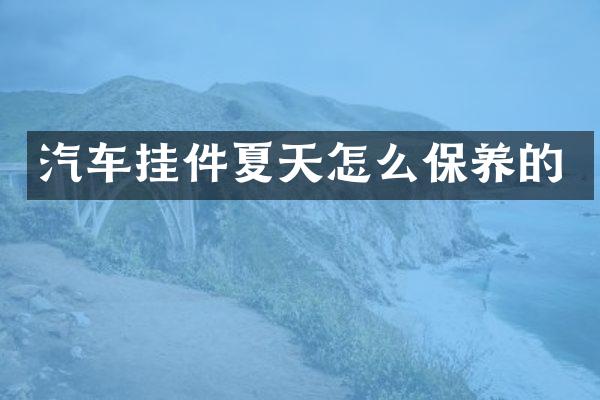 汽车挂件夏天怎么保养的