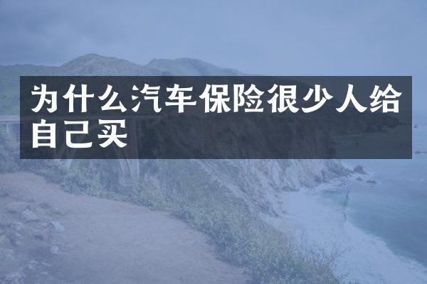 为什么汽车保险很少人给自己买