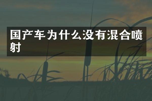 国产车为什么没有混合喷射