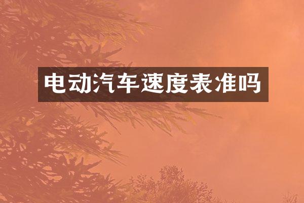 电动汽车速度表准吗
