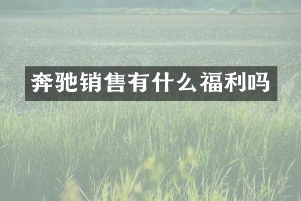 奔驰销售有什么福利吗