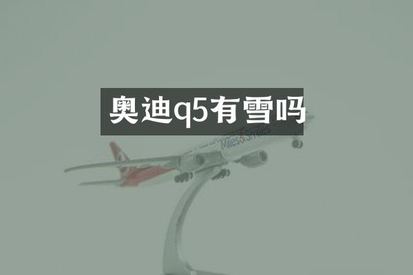 奥迪q5有雪吗