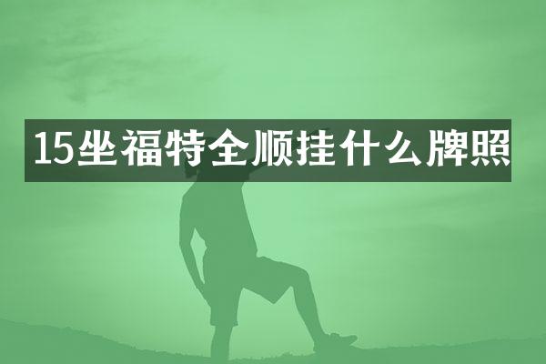 15坐福特全顺挂什么牌照