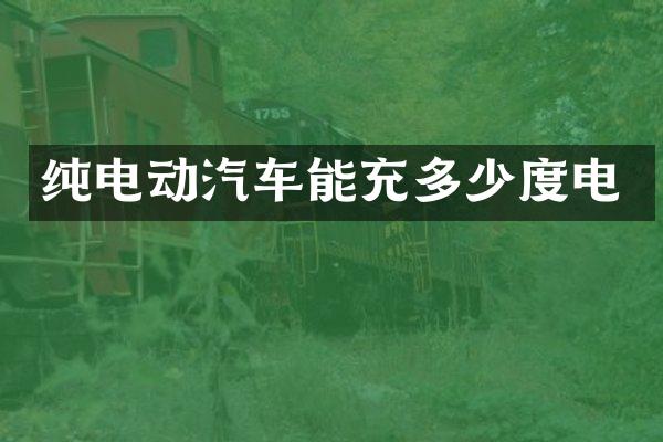 纯电动汽车能充多少度电