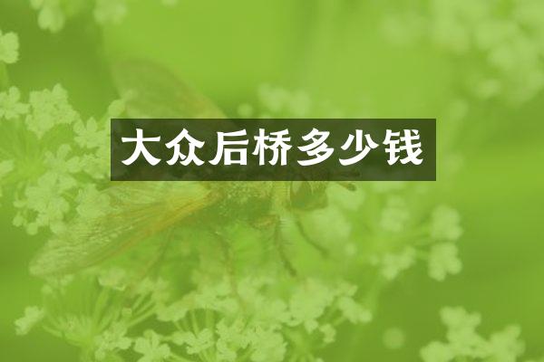 大众后桥多少钱