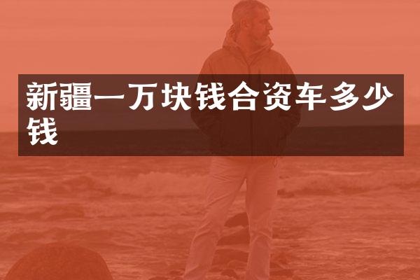 新疆一万块钱合资车多少钱