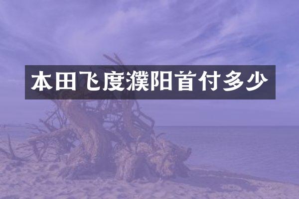 本田飞度濮阳首付多少