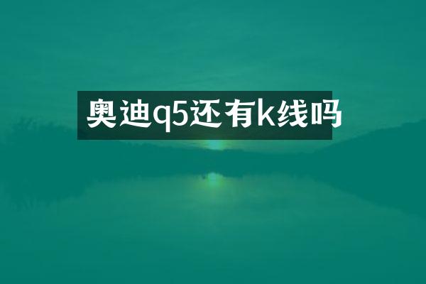奥迪q5还有k线吗