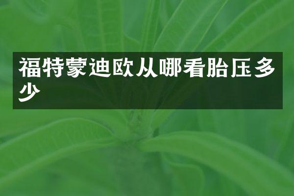 福特蒙迪欧从哪看胎压多少