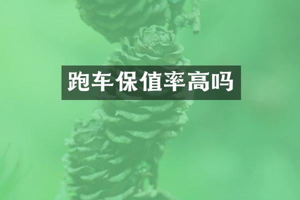 跑车保值率高吗