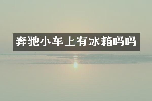 奔驰小车上有冰箱吗吗