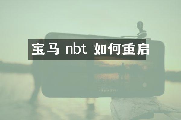 宝马 nbt 如何重启