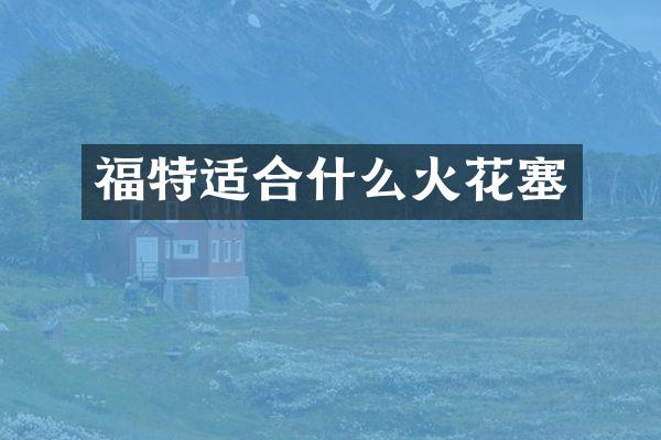 福特适合什么火花塞