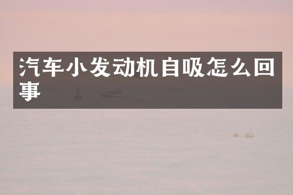 汽车小发动机自吸怎么回事