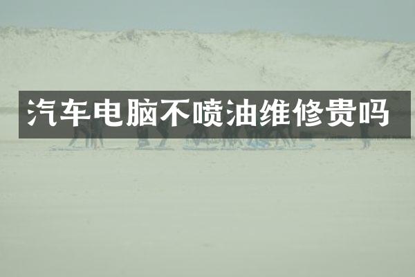 汽车电脑不喷油维修贵吗