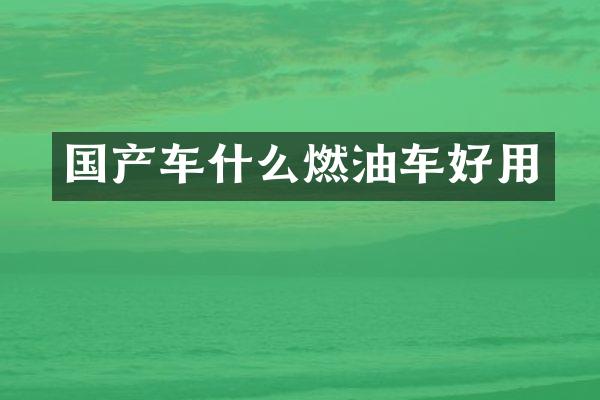 国产车什么燃油车好用