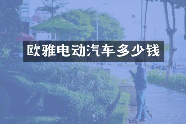 欧雅电动汽车多少钱