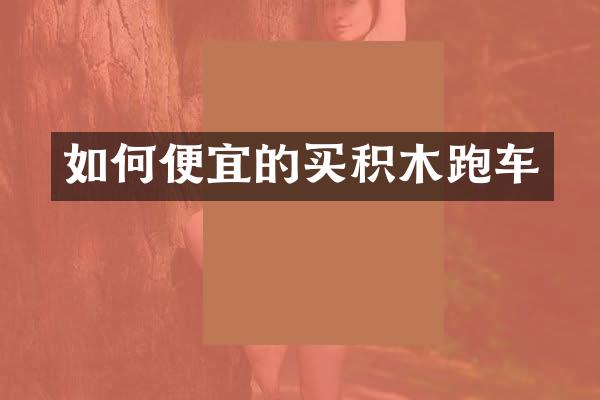 如何便宜的买积木跑车