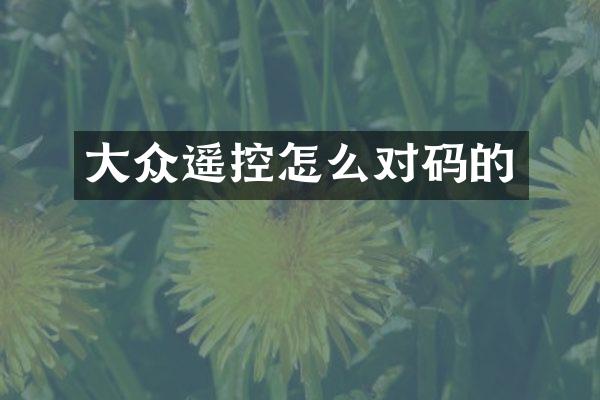 大众遥控怎么对码的