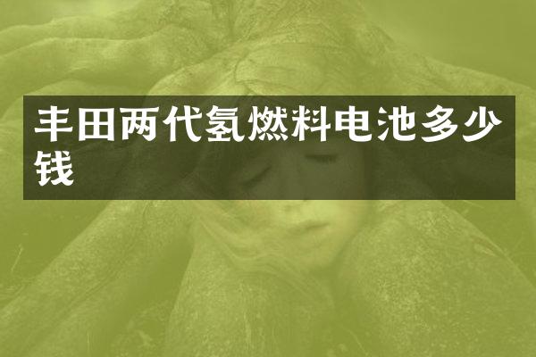 丰田两代氢燃料电池多少钱