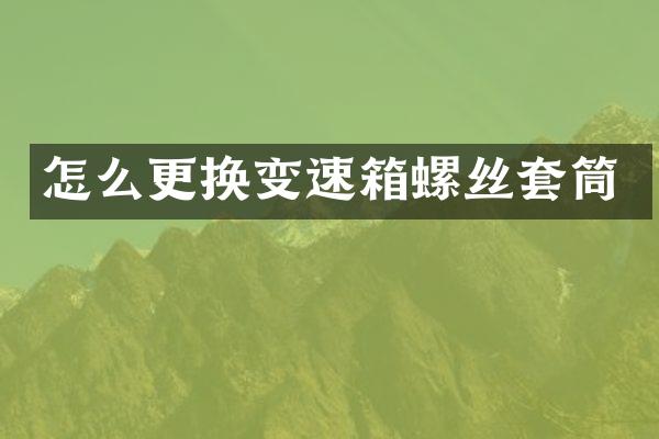 怎么更换变速箱螺丝套筒