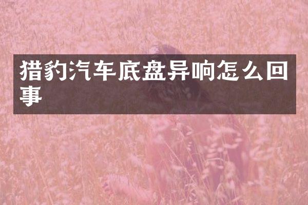 猎豹汽车底盘异响怎么回事