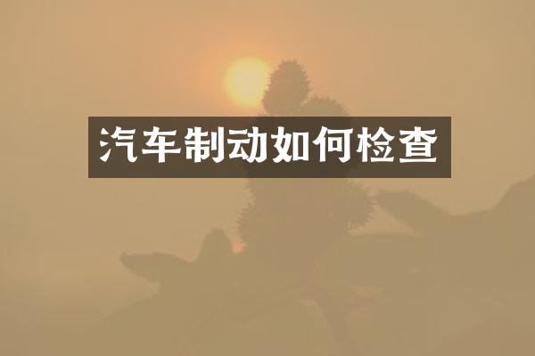 汽车制动如何检查