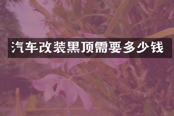汽车改装黑顶需要多少钱