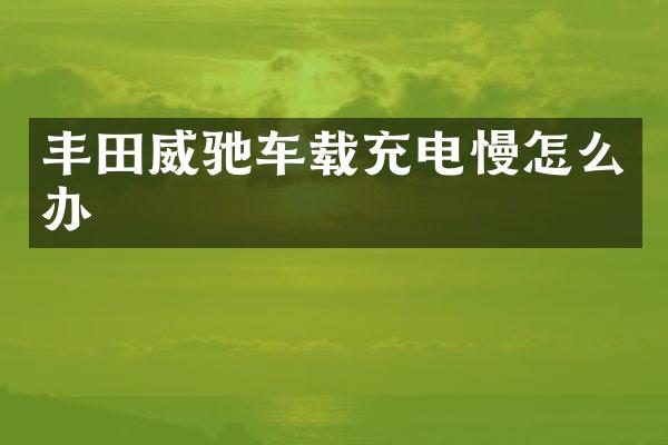 丰田威驰车载充电慢怎么办
