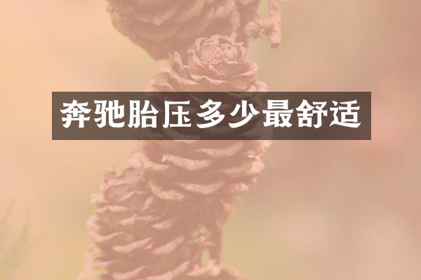 奔驰胎压多少最舒适