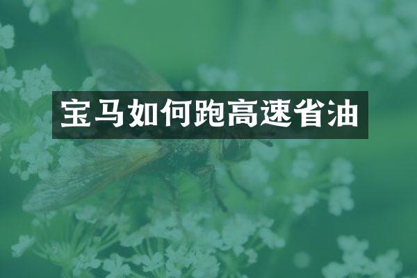 宝马如何跑高速省油