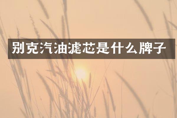 别克汽油滤芯是什么牌子
